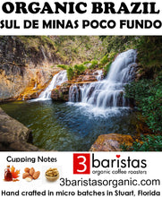 Load image into Gallery viewer, Brazil Sul Minas Poco Fundo Organic
