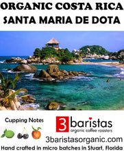 Load image into Gallery viewer, Costa Rica Santa Maria De Dota Organic