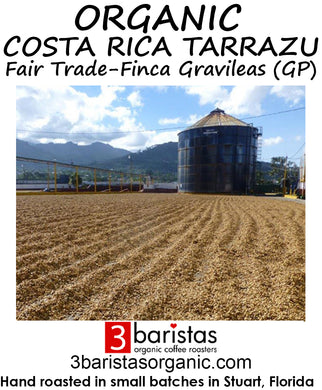 Organic Costa Rica Tarrazu Fair Trade - Finca Gravileas (GP)