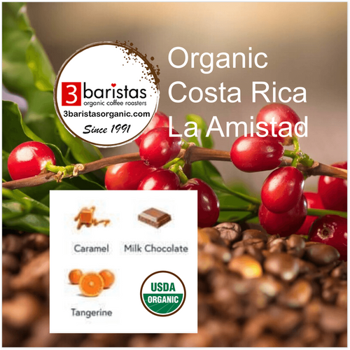 Organic Costa Rica La Amistad