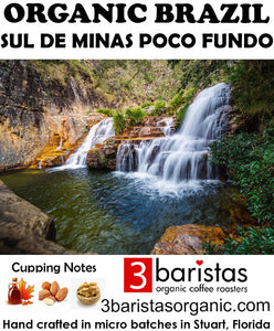 Brazil Sul Minas Poco Fundo Organic
