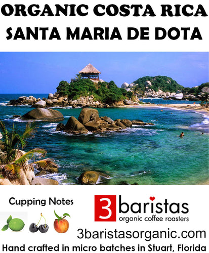 Costa Rica Santa Maria De Dota Organic