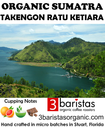 Sumatra Takengon Ratu Ketiara Organic