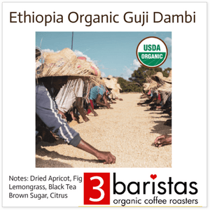 ETHIOPIA ORGANIC GUJI DAMBI UDDO G2 WASHED 2023