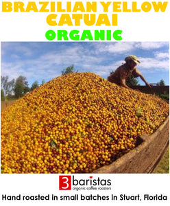 Organic Brazilian Yellow Catuai