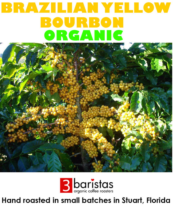 Organic Brazilian Yellow Bourbon