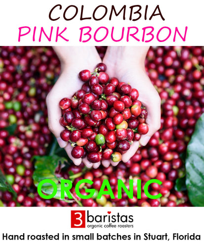 Organic Colombia Pink Bourbon