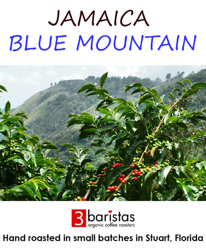 Organic Jamaica Blue Mountain