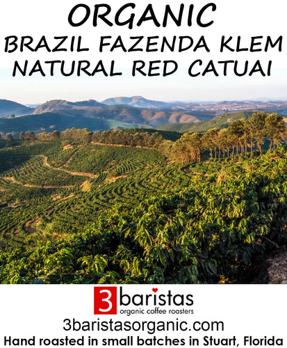 Organic Brazil Fazenda Klem Natural Red Catuai