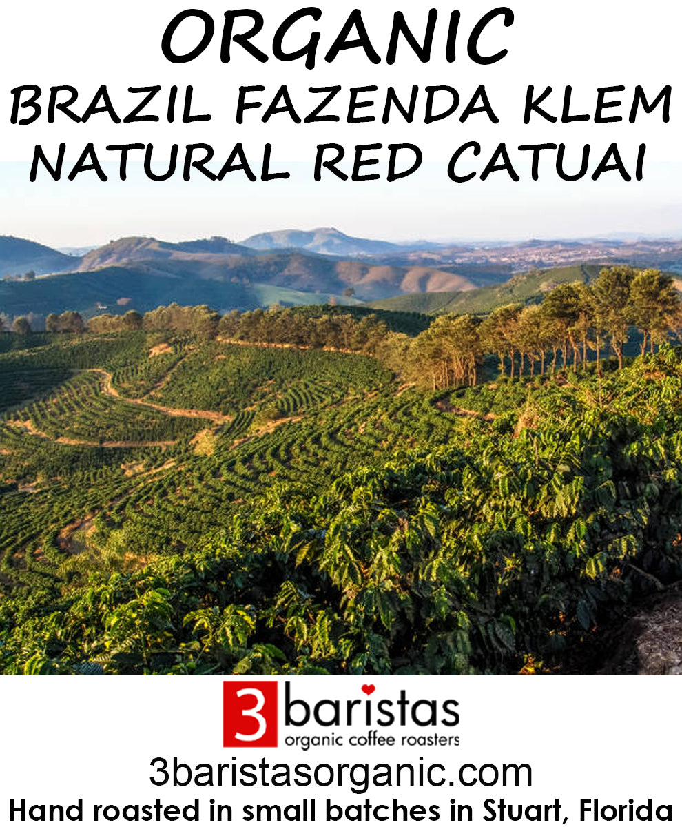 Organic Brazil Fazenda Klem Natural Red Catuai