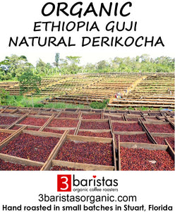 Organic Ethiophia Guji Natural Derikocha