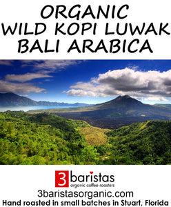 Organic Wild Kopi Luwak Bali Arabica - Free Shipping