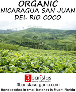 Organic Brazil Natural APROCEM Coop - Fair Trade (GP) – 3 Baristas
