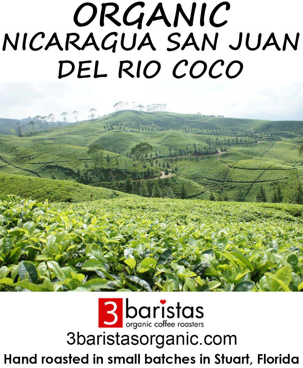 Organic Nicaragua San Juan Del Rio Coco