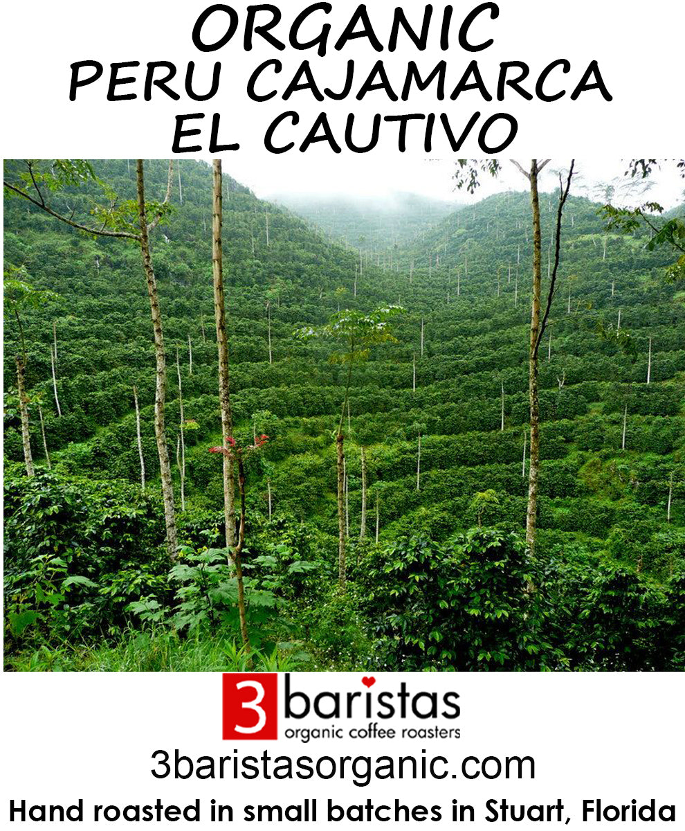 Organic Peru Cajamarca El Cautivo