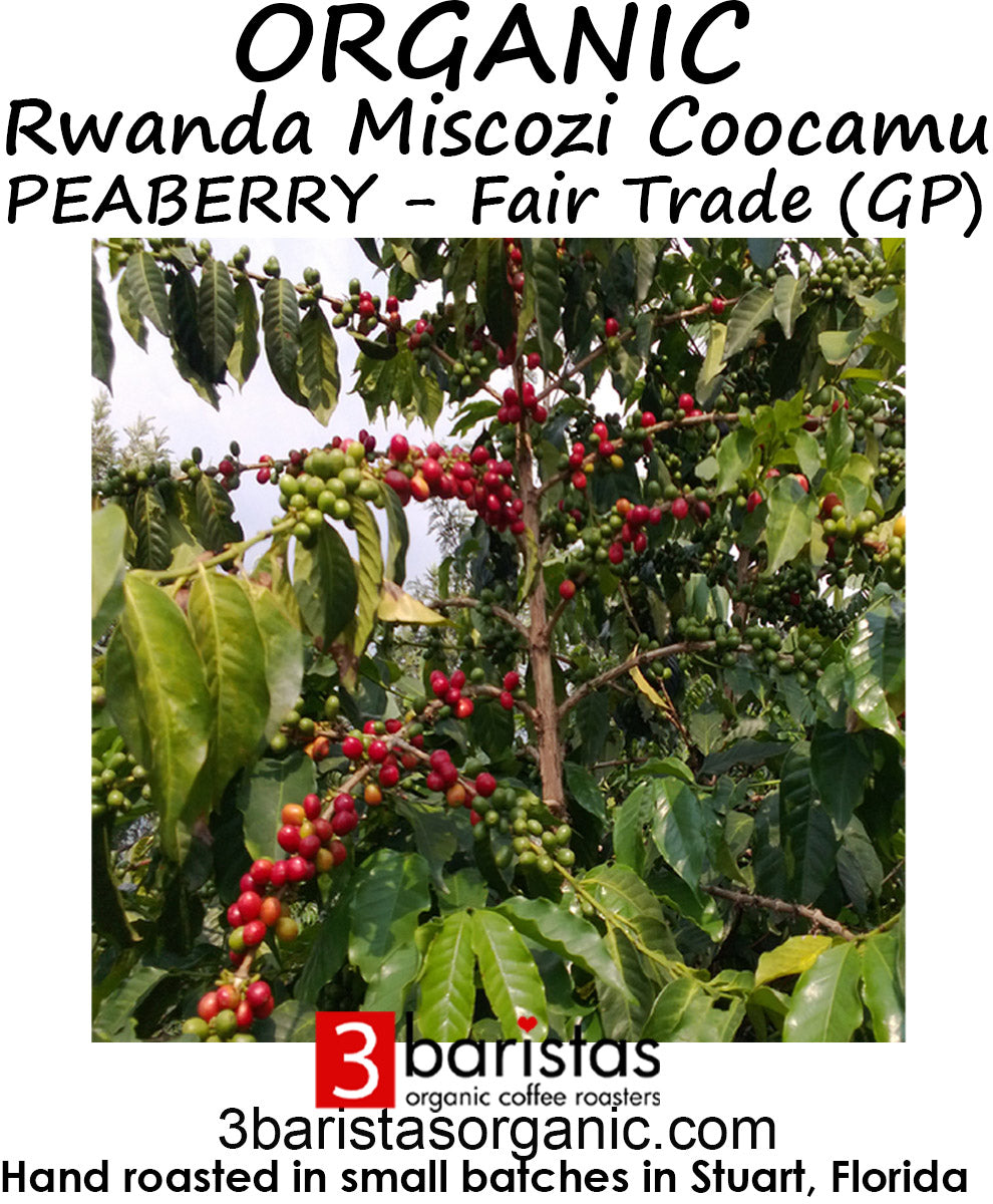 Organic Rwanda Miscozi Coocamu PEABERRY - Fair Trade (GP)