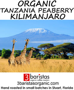Organic Tanzania Peaberry Kilimanjaro