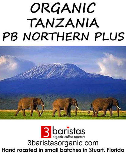 Organic Tanzania Northern Plus